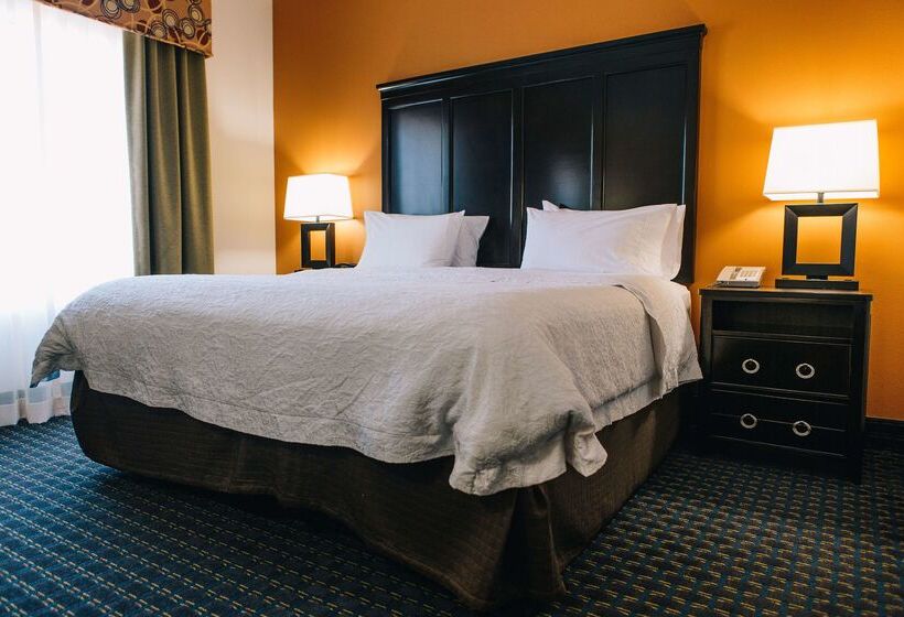 فندق Hampton Inn & Suites Effingham