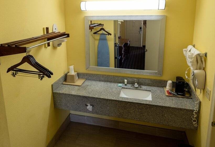 酒店 Loyalty Inn Hawkinsville