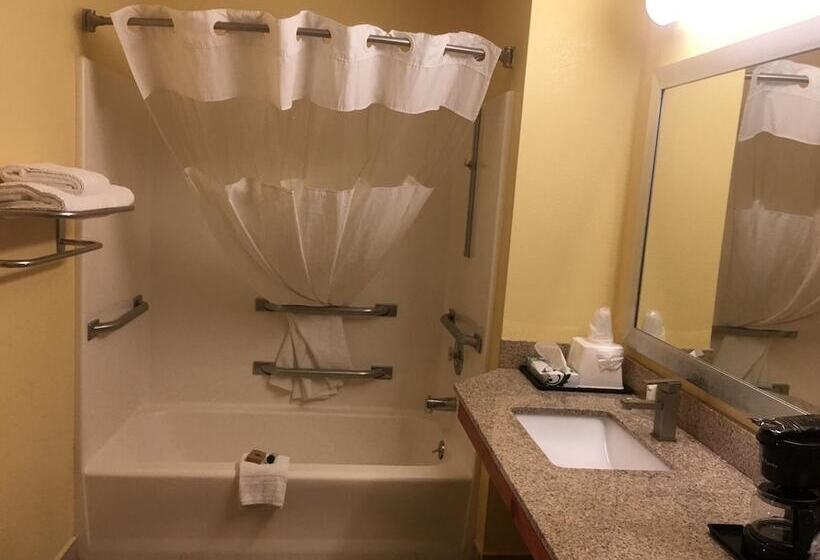 בית מלון כפרי Loyalty Inn Hawkinsville