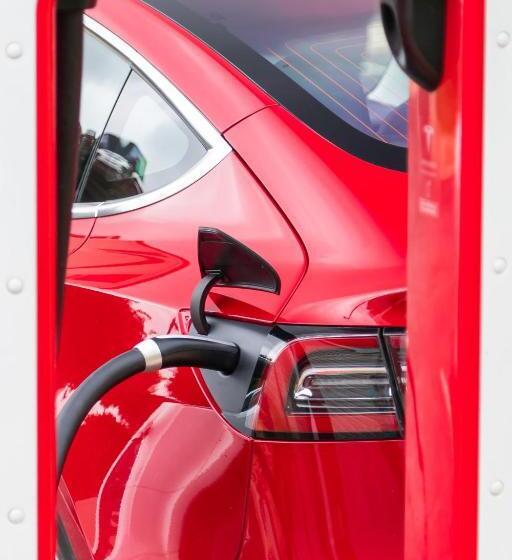 فندق Magnolia Inn Kingsland