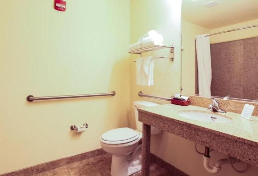 هتل Mountain Inn & Suites Airport   Hendersonville