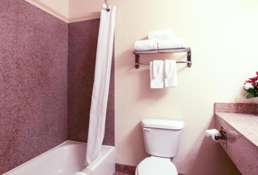 בית מלון כפרי Mountain Inn & Suites Airport   Hendersonville