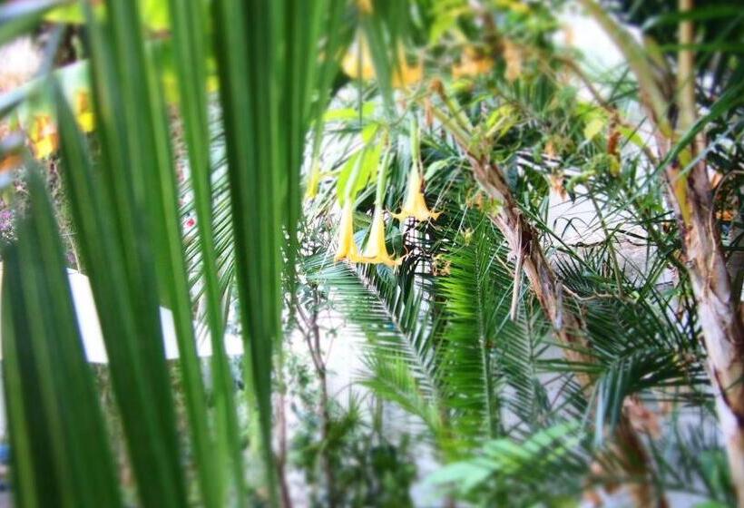 Privat Hotel Liberty Sitges