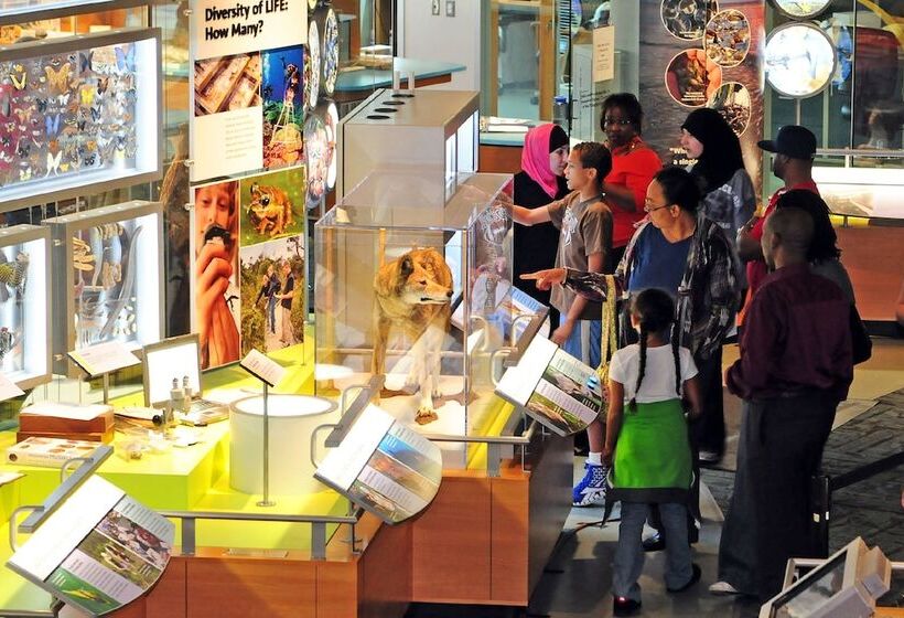 호텔 Raleigh Marriott City Center