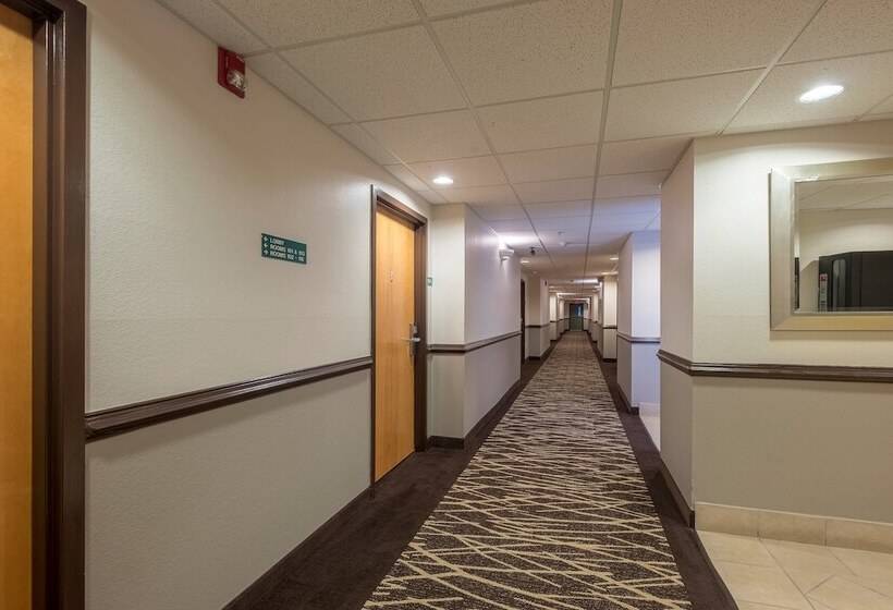 فندق Red Roof Inn & Suites Biloxi   Ocean Springs