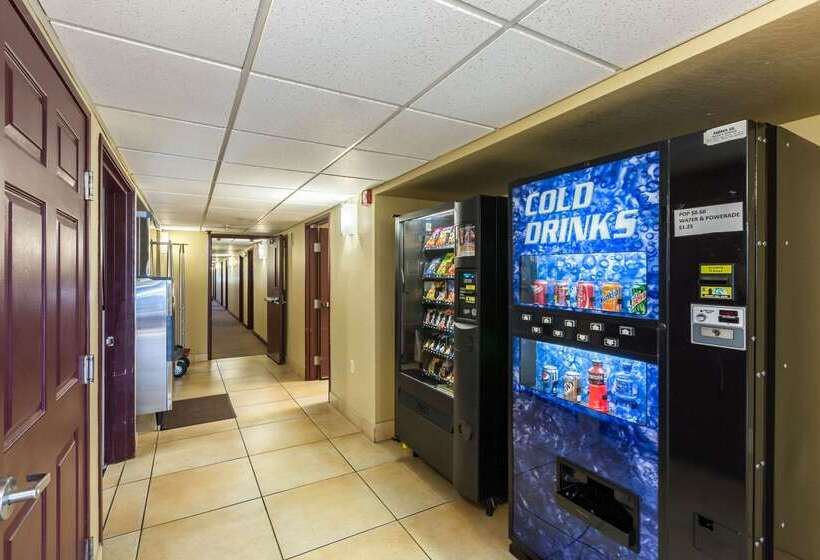 فندق Rodeway Inn