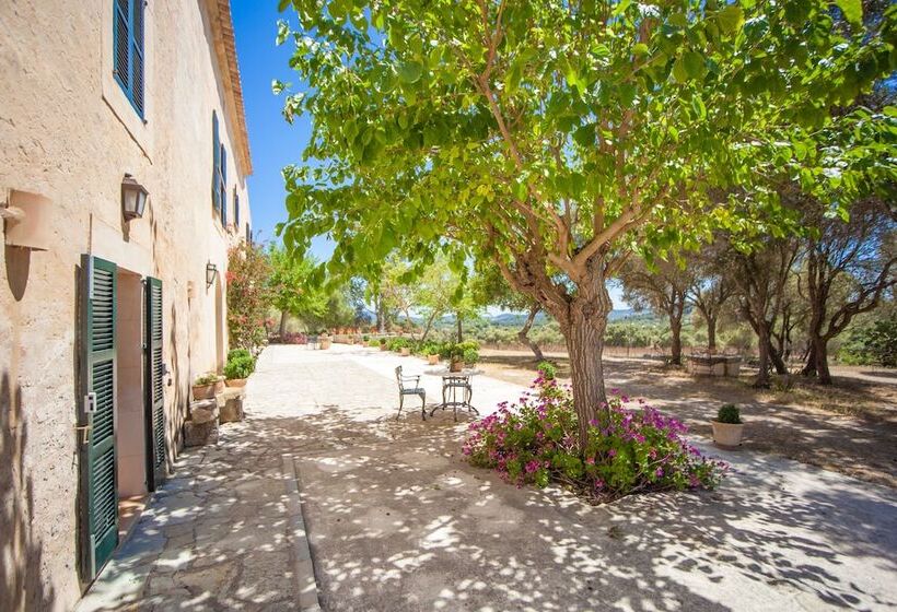 田舎風ホテル Agroturismo Son Not