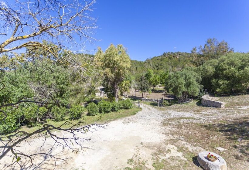 Сельский отель Agroturismo Son Not