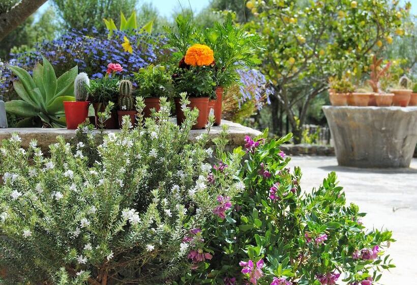 فندق ريفى Agroturismo Son Not