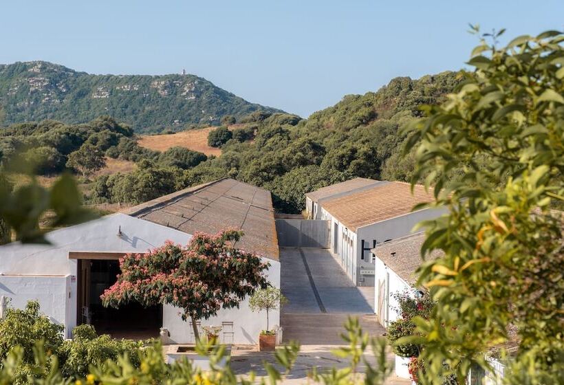 교외 호텔 Rural Sant Patrici