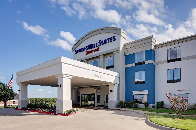 فندق Springhill Suites By Marriott Ardmore