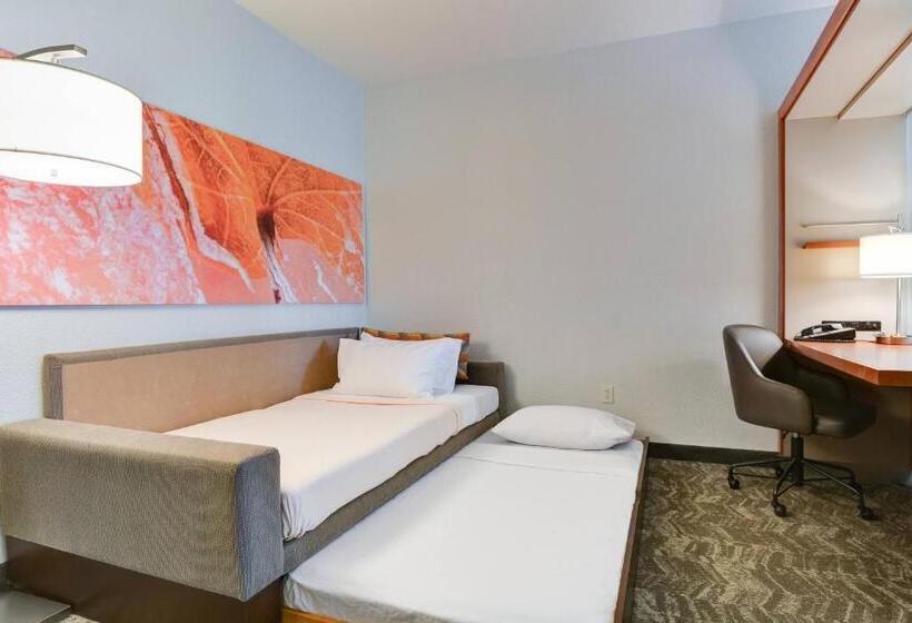 酒店 Springhill Suites Shreveportbossier City/louisiana Downs