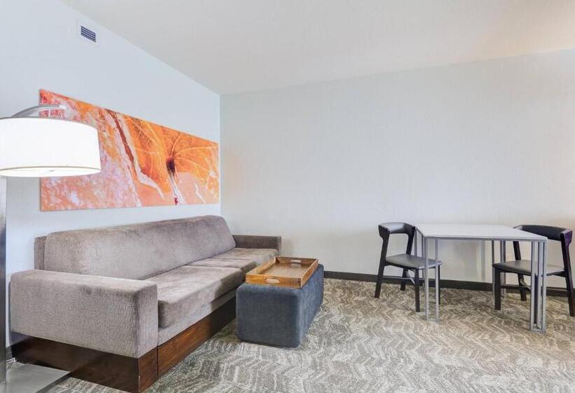 酒店 Springhill Suites Shreveportbossier City/louisiana Downs