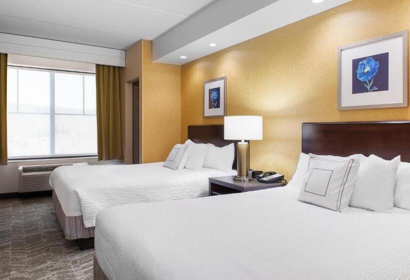 هتل Springhill Suites By Marriott Wheeling Triadelphia Area