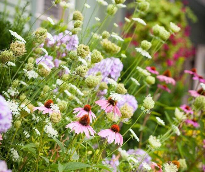 ホテル The Inn At Camden Place