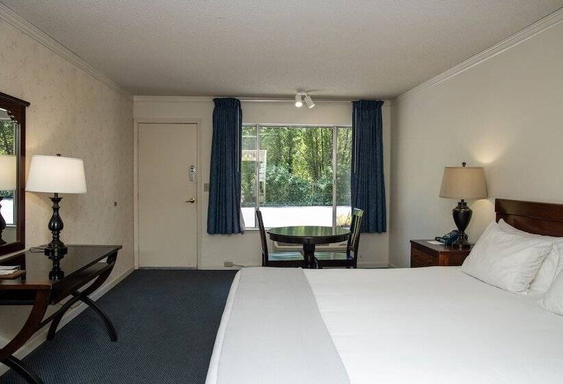 فندق The Occidental Lodge