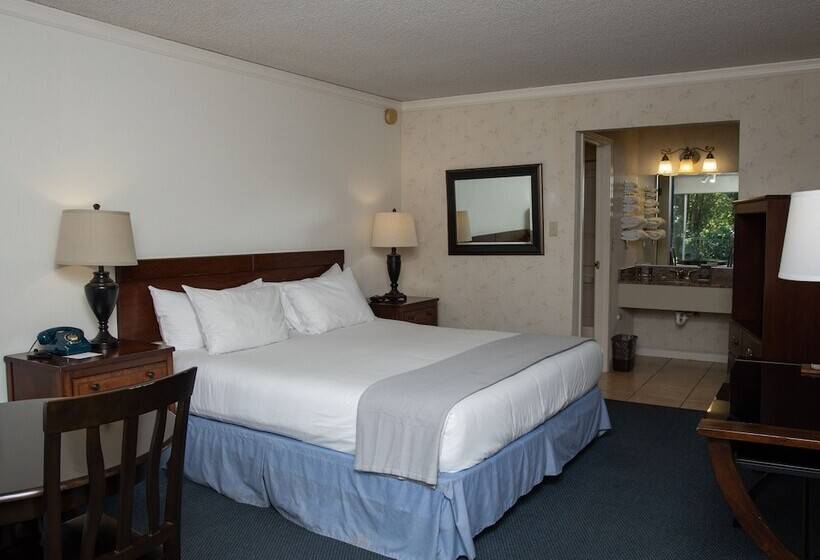 فندق The Occidental Lodge