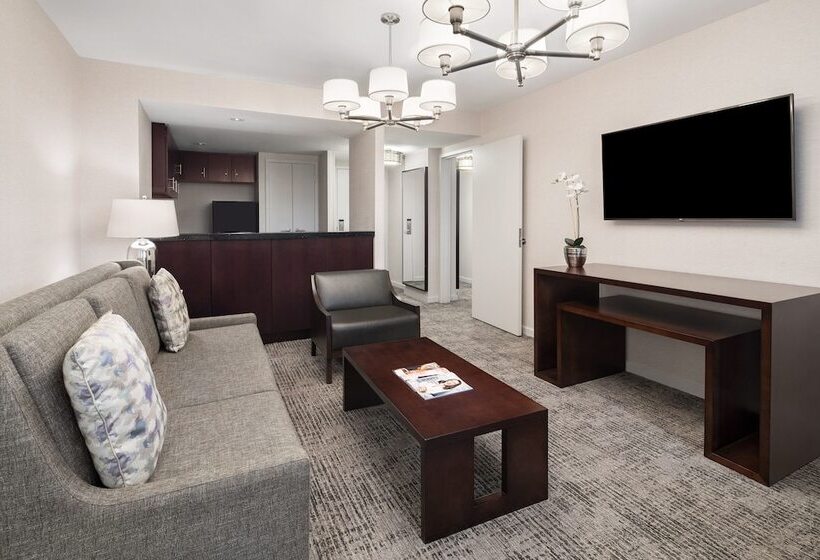 酒店 The Westin Baltimore Washington Airport   Bwi