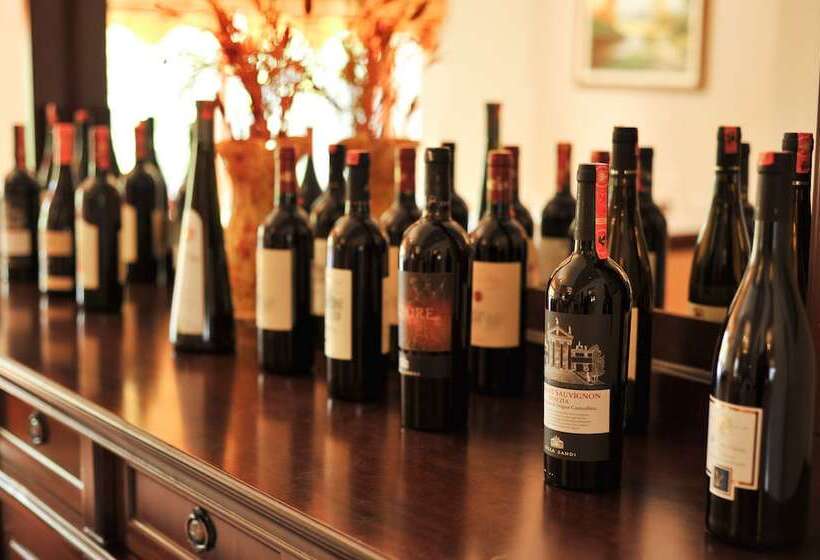 فندق Vila E Arte City Center