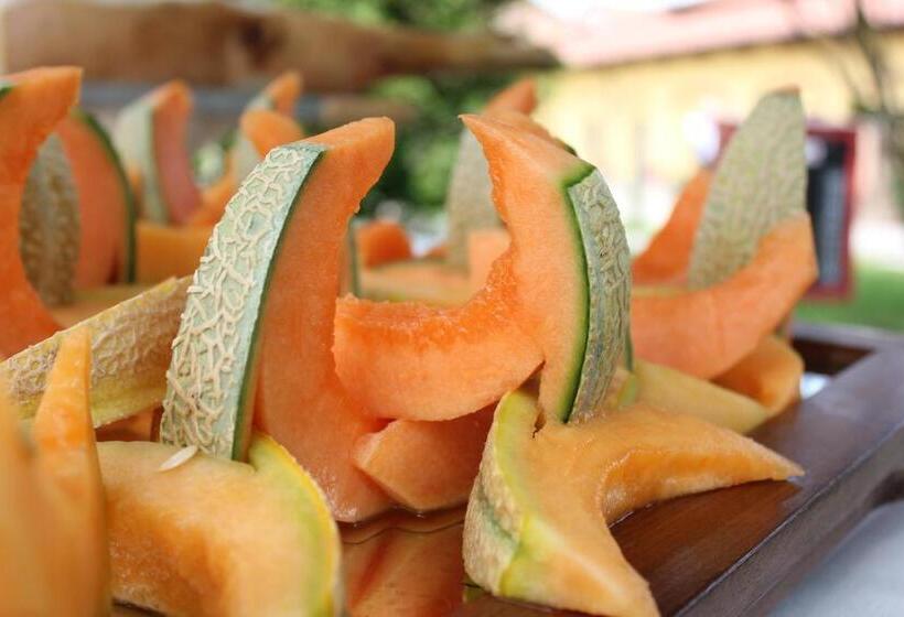 בית מלון כפרי Villa Soleil