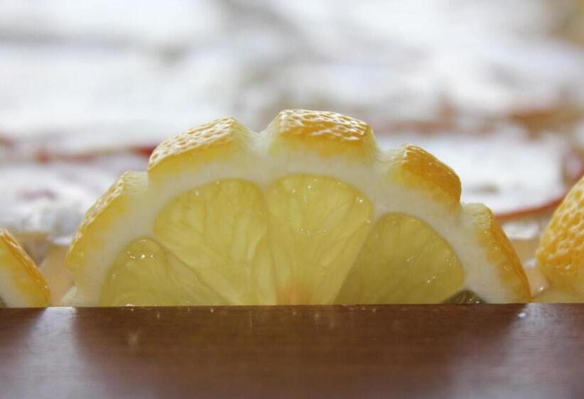 ホテル Villa Soleil