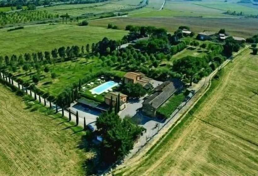 Le More E I Gelsomini