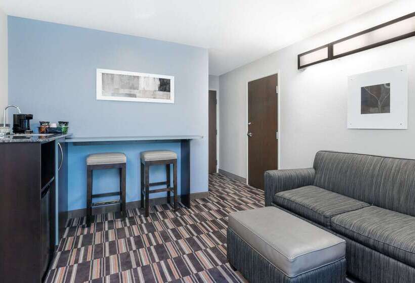 Microtel Inn & Suites By Wyndham Hoover/birmingham