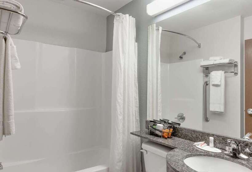 Microtel Inn & Suites By Wyndham Hoover/birmingham