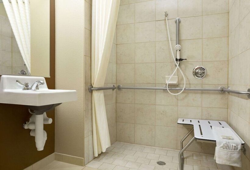 Microtel Inn & Suites By Wyndham Odessa Tx