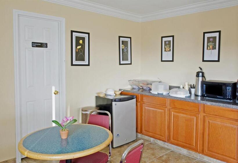 モーテル Americas Best Value Inn Gainesville, Tx