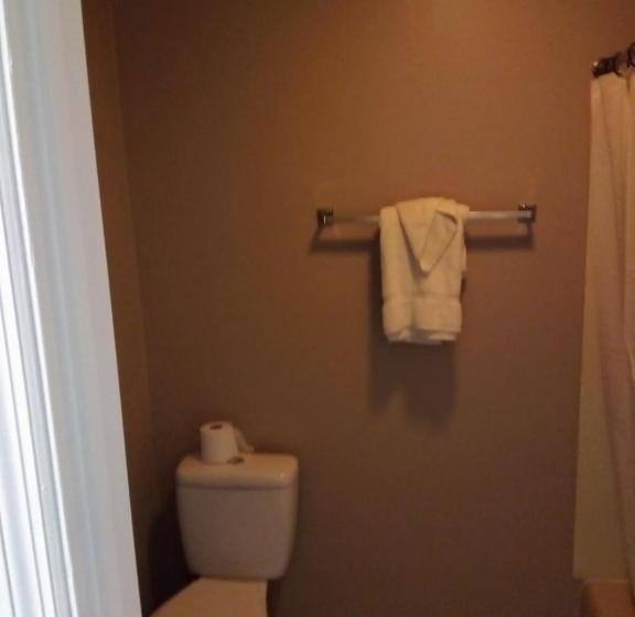 فندق على الطريق Regal Inn