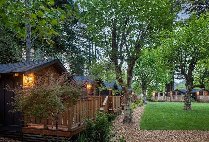 리조트 Dawn Ranch