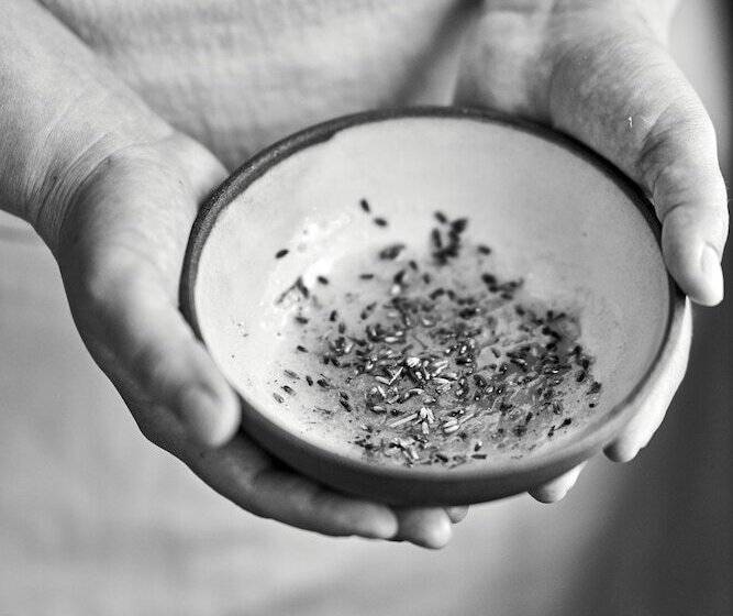 리조트 Dawn Ranch