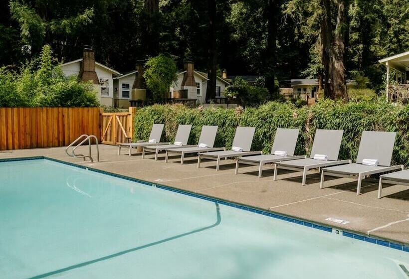 리조트 Dawn Ranch