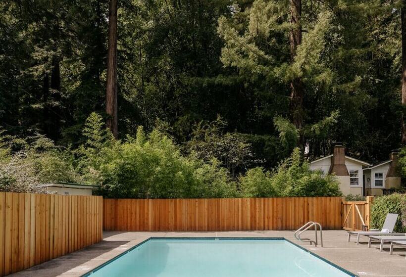 리조트 Dawn Ranch