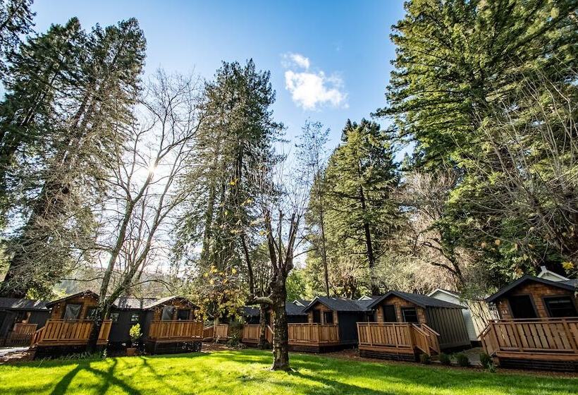 리조트 Dawn Ranch