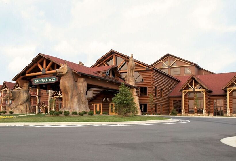 리조트 Great Wolf Lodge Mason