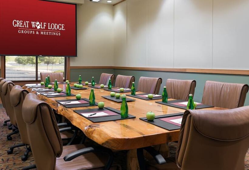 리조트 Great Wolf Lodge Mason