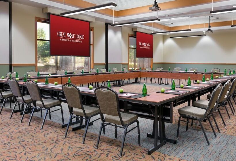 리조트 Great Wolf Lodge Mason