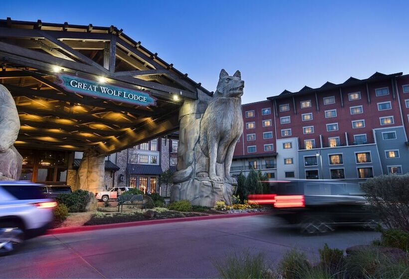 리조트 Great Wolf Lodge Grapevine
