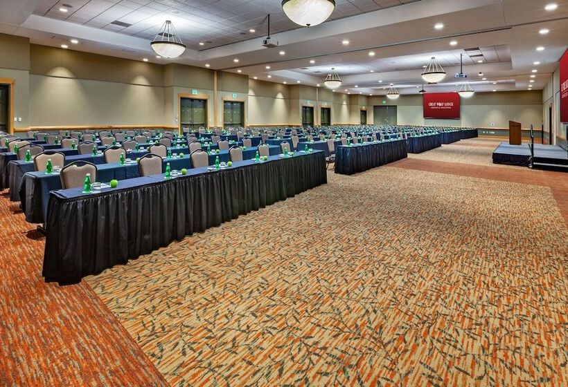 리조트 Great Wolf Lodge Grapevine