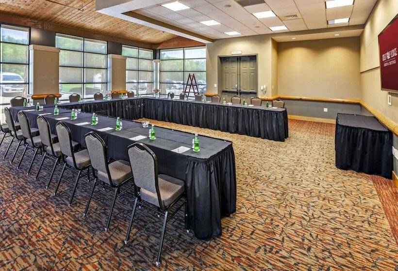 리조트 Great Wolf Lodge Grapevine