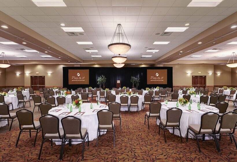 리조트 Great Wolf Lodge Grapevine