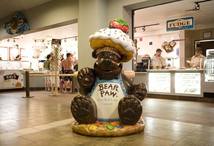 리조트 Great Wolf Lodge Grapevine