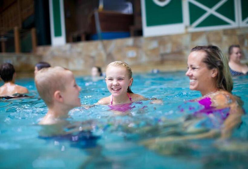 리조트 Great Wolf Lodge Grapevine