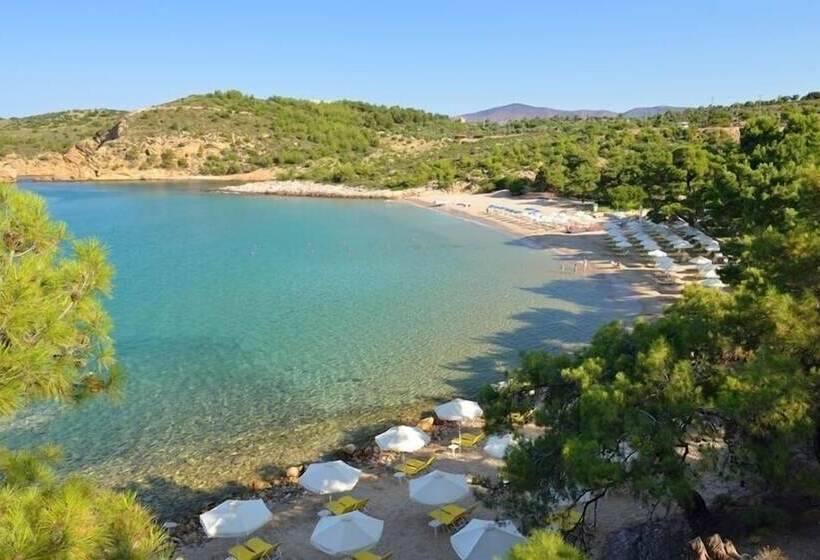 Royal Paradise Beach Resort & Spa