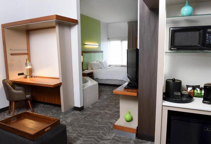 Springhill Suites By Marriott Sioux Falls