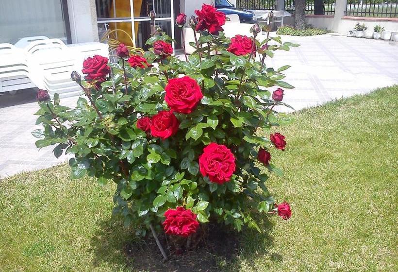 בית מלון כפרי Andromeda All Inclusive