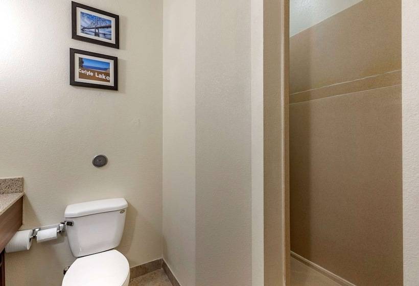 בית מלון כפרי Comfort Inn & Suites Greenville I 70