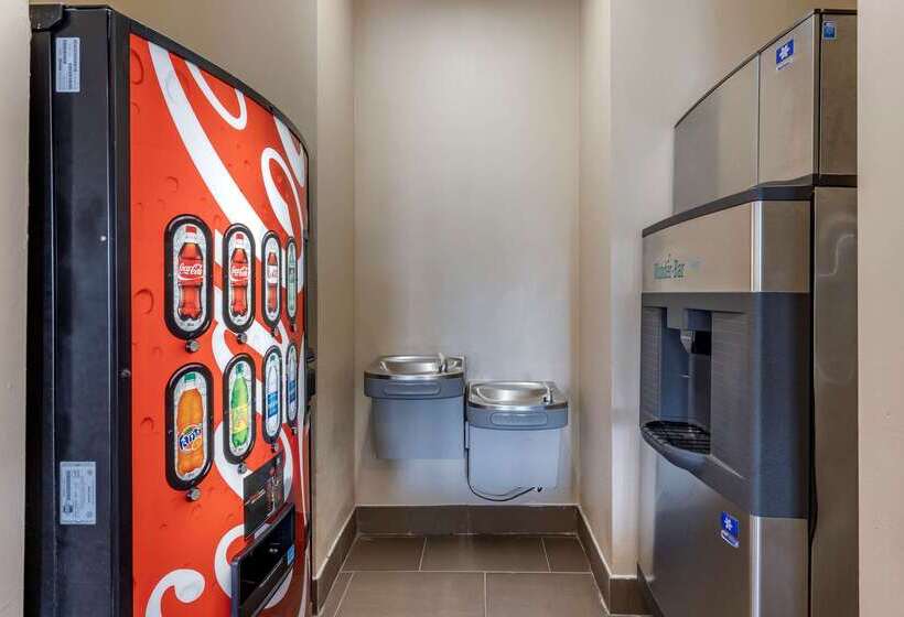 בית מלון כפרי Comfort Inn & Suites Greenville I 70